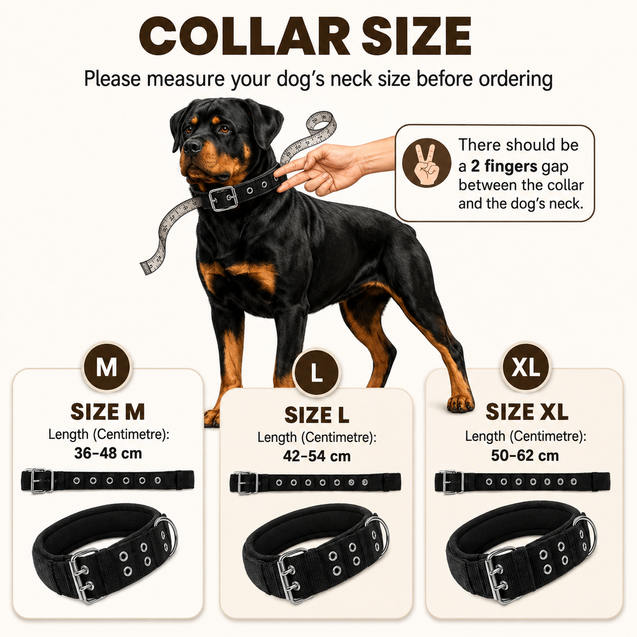Tactical Dog Collar Belt for Medium Dogs | Adjustable Size