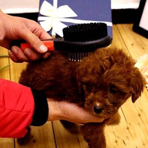 Plastic Pin Grooming Brush