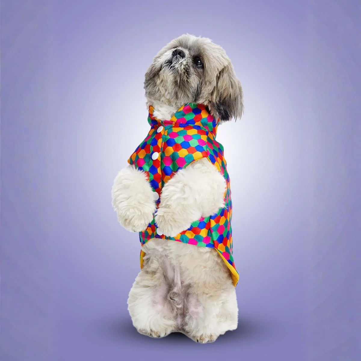 Polka Dots Kurta – Stylish & Comfortable Dog Traditional Wear