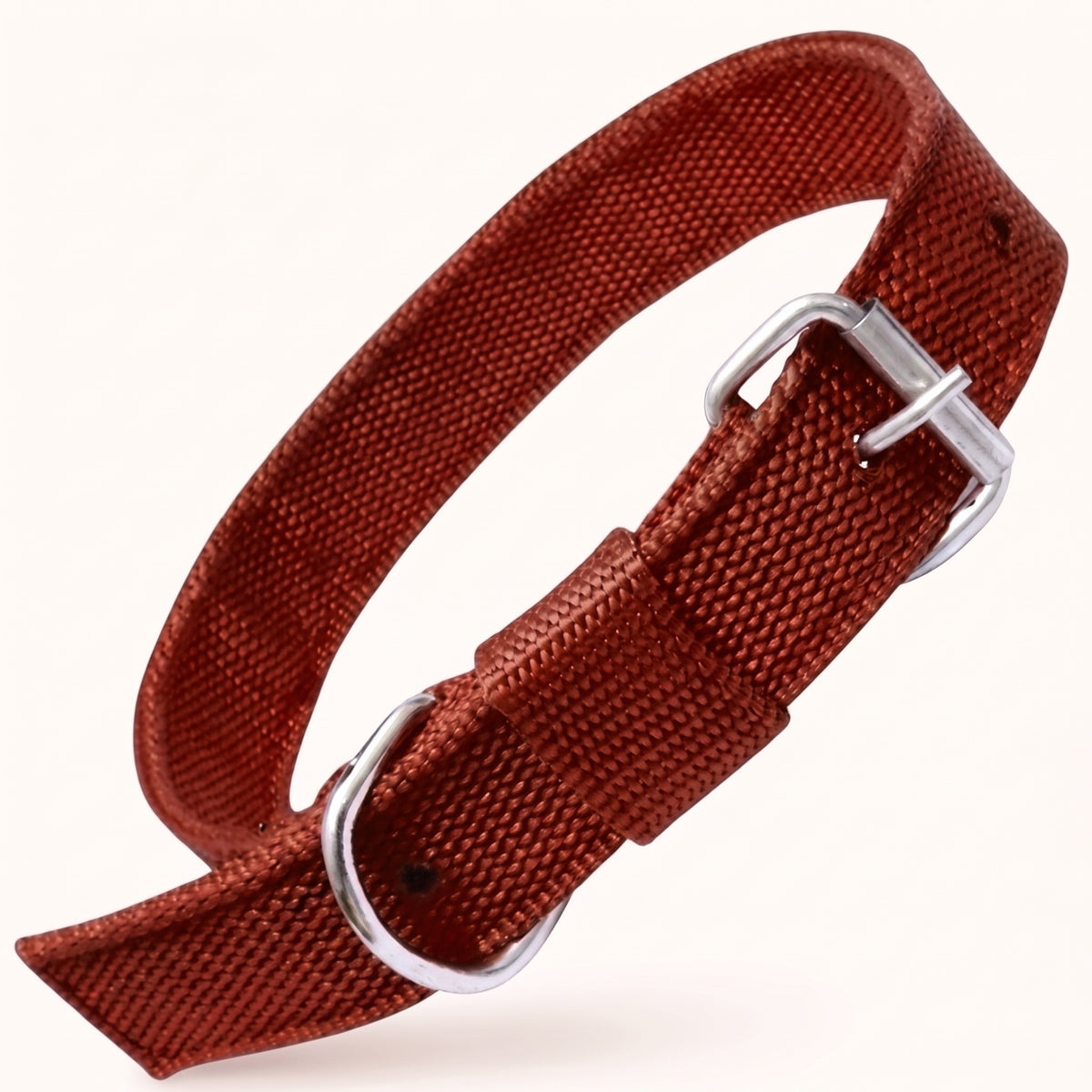 Adjustable Nylon Dog Collar