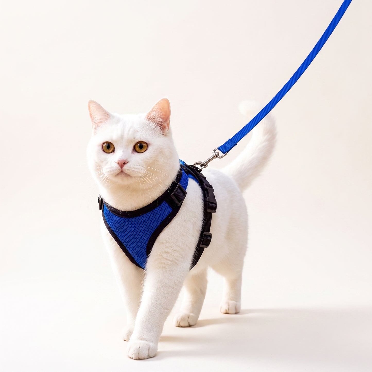 Adjustable Breathable Cat Harness & Leash Set