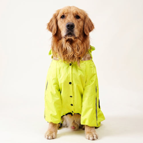 Neon Green Hooded Dog Raincoat
