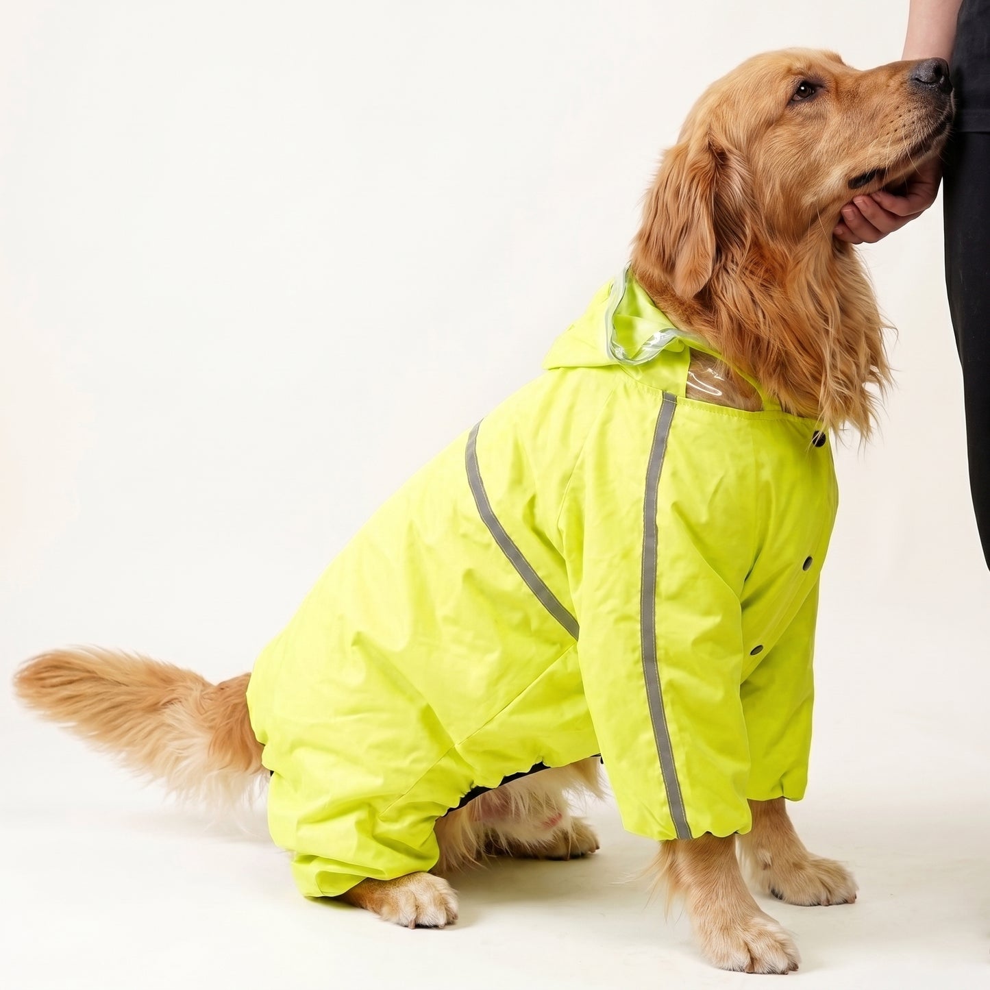 Neon Green Hooded Dog Raincoat