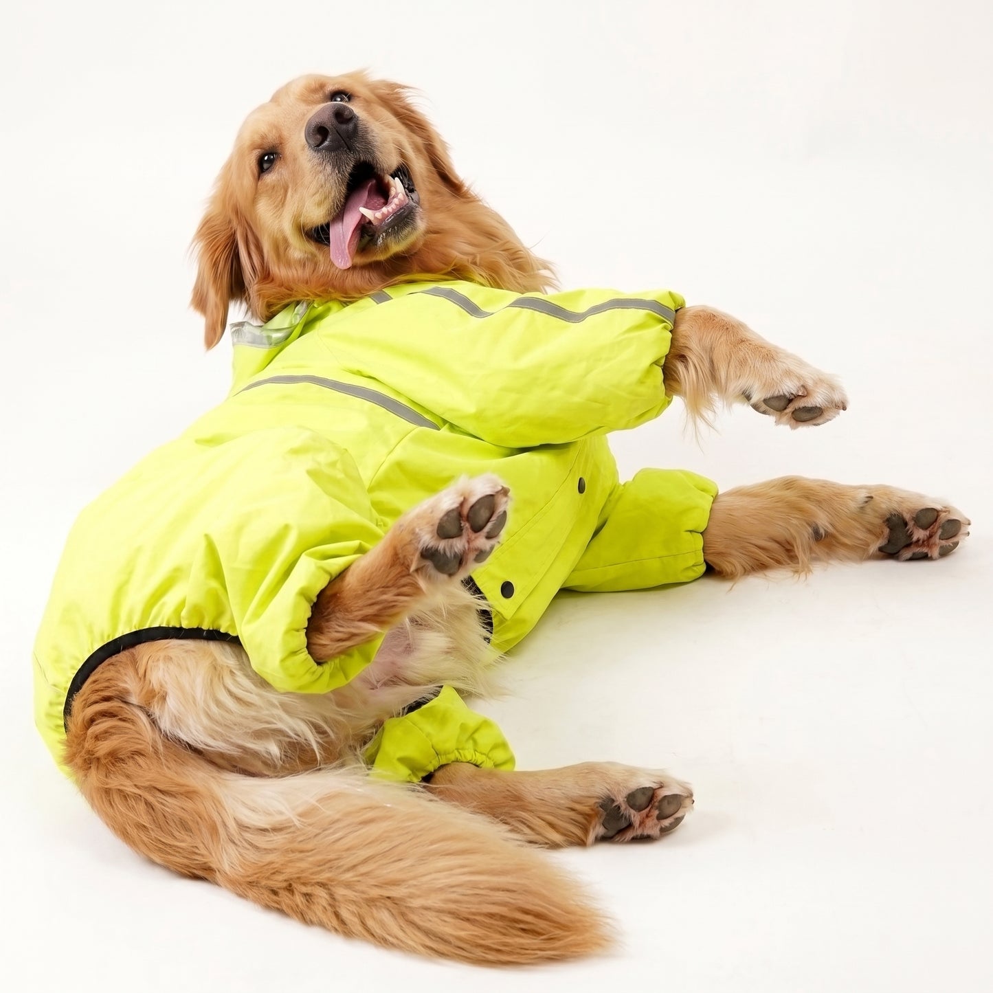 Neon Green Hooded Dog Raincoat