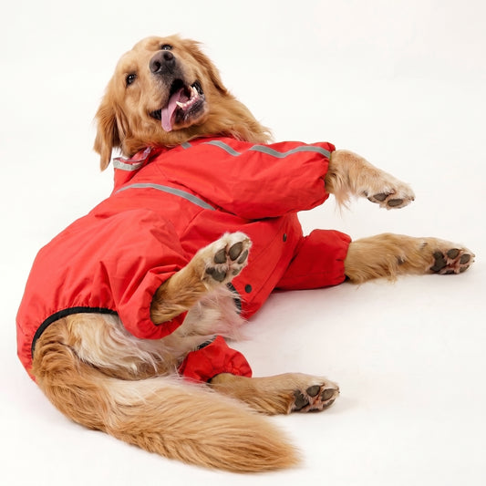 Full-Body Waterproof Dog Rain Jumpsuit with Transparent Hood