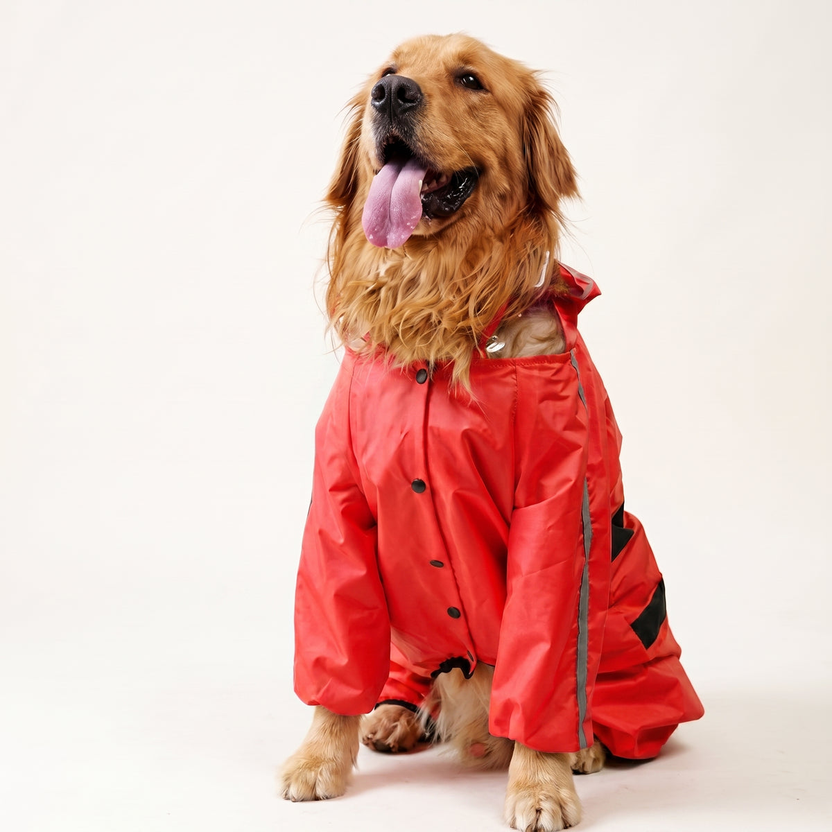 Full-Body Waterproof Dog Rain Jumpsuit with Transparent Hood