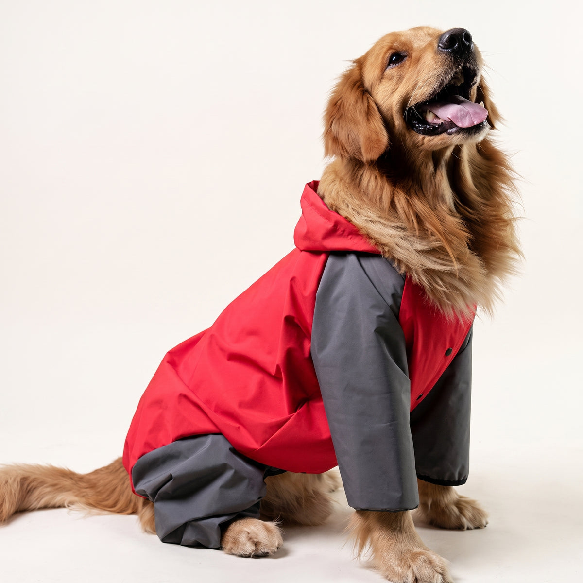 Storm Guard Waterproof Dog Raincoat with Transparent Hood