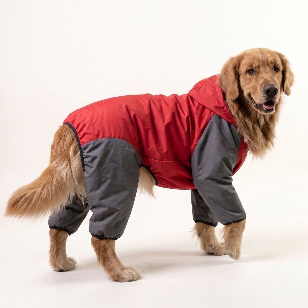 Storm Guard Waterproof Dog Raincoat with Transparent Hood