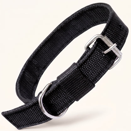 Adjustable Nylon Dog Collar