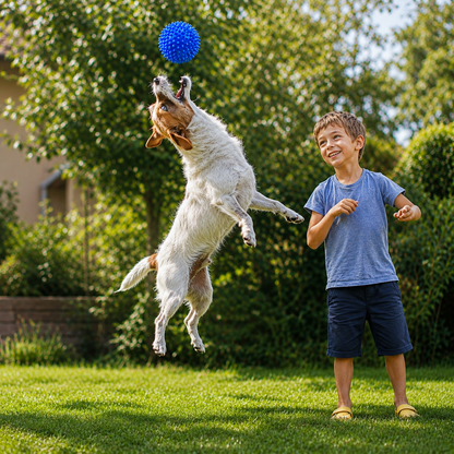 Rubber Spiked Ball Toy for Dogs