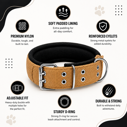 Tactical Dog Collar Belt for Medium Dogs | Adjustable Size