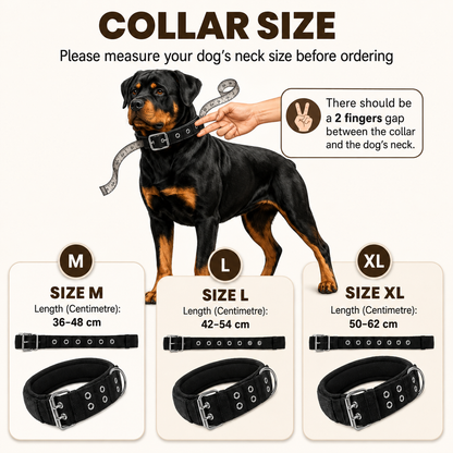 Tactical Dog Collar Belt for Medium Dogs | Adjustable Size