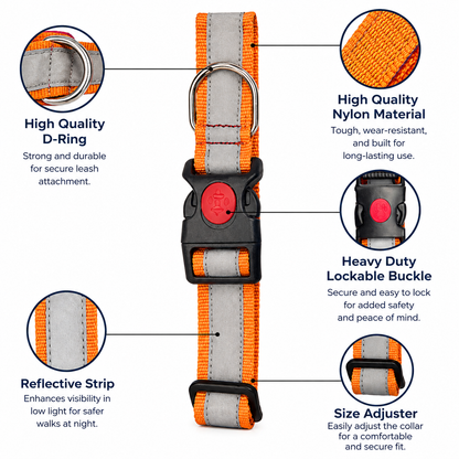 Adjustable Printed Nylon Dog Collar