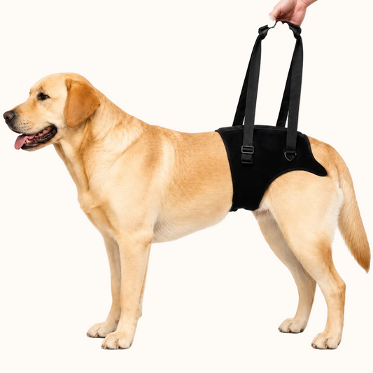 Adjustable Dog Rear Leg Support Harness
