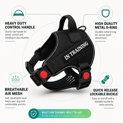 Adjustable Padded Dog Harness with Handle