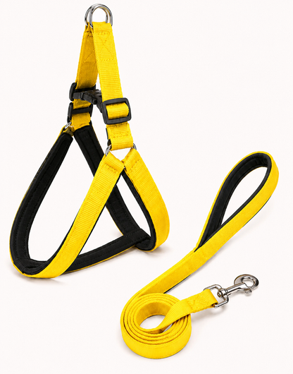 Soft Padded Dog Harness & Leash Set
