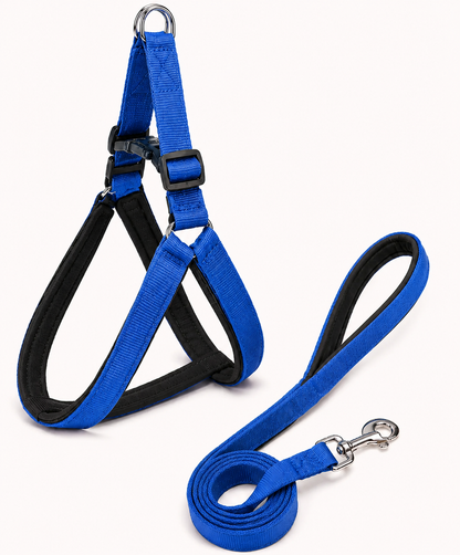 Soft Padded Dog Harness & Leash Set