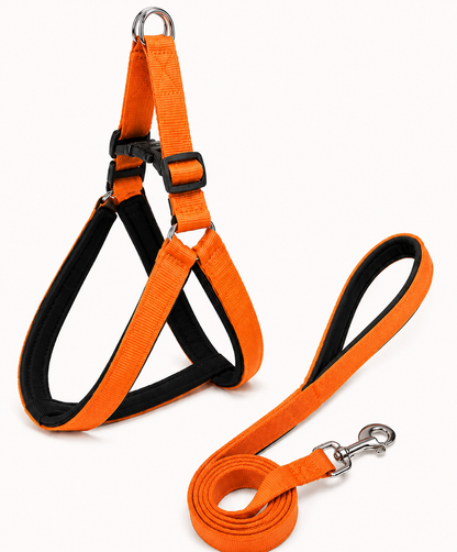 Soft Padded Dog Harness & Leash Set