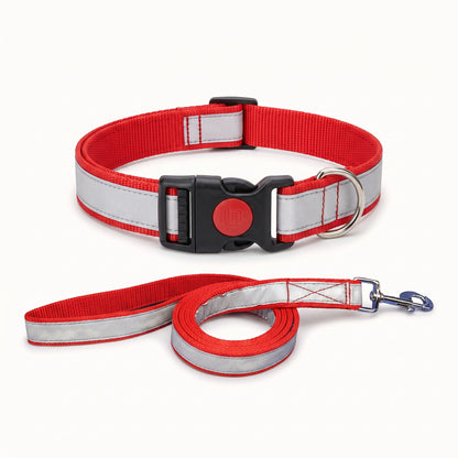 Reflective Dog Collar & Leash Set