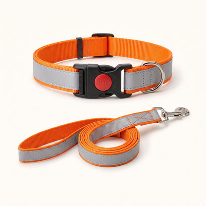 Reflective Dog Collar & Leash Set