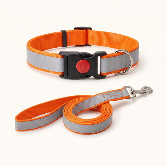 Reflective Dog Collar & Leash Set