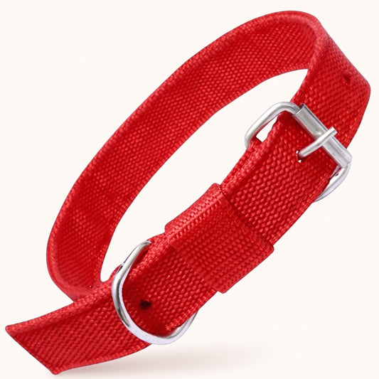 Adjustable Nylon Dog Collar