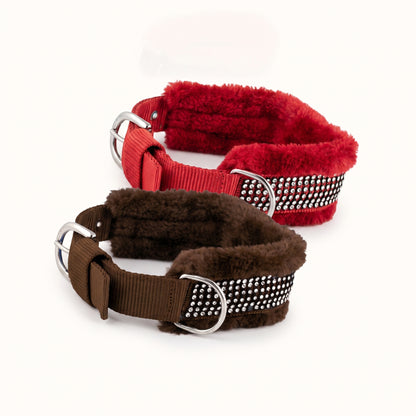 Set of 2- Adjustable Soft-Padded Dog Collar