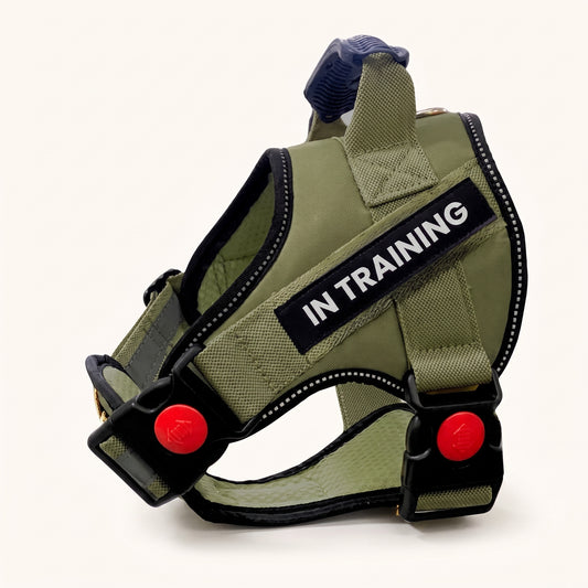 Adjustable Padded Dog Harness with Handle