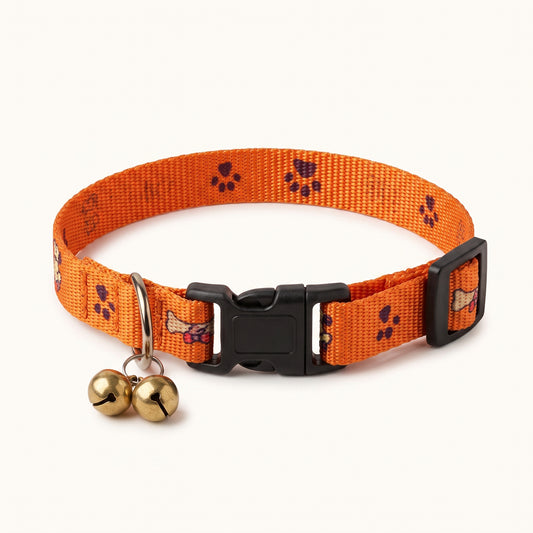 Adjustable Puppy Collar & Leash Set