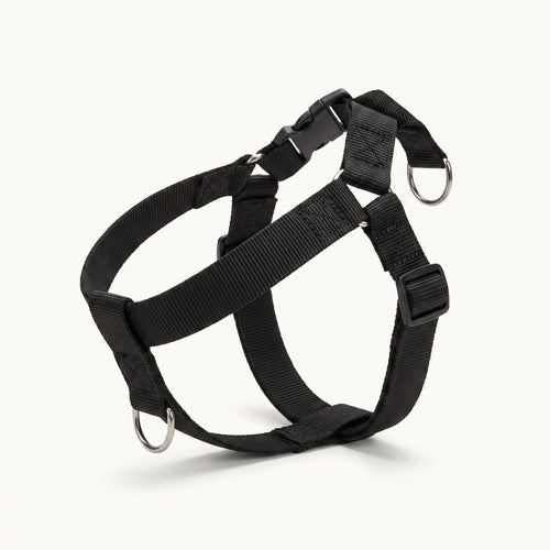 Soft Padded Nylon Dog Harness with Adjustable Straps