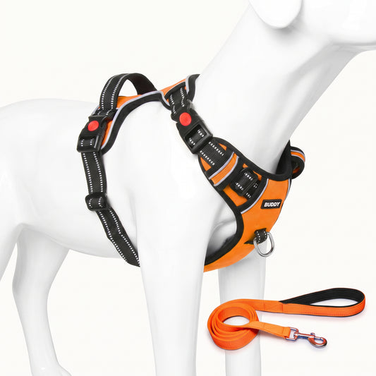 Adjustable Padded Dog Harness & Leash Set with Handle