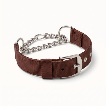 Adjustable Half-Check Dog Collar with Chain