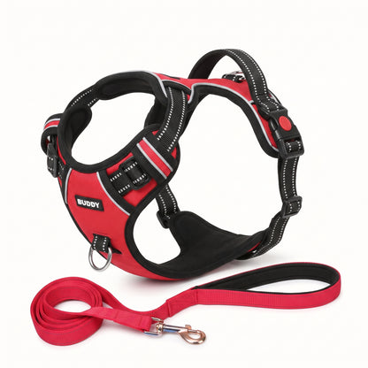 Adjustable Padded Dog Harness & Leash Set with Handle