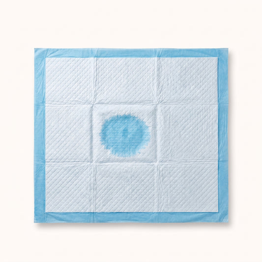 Leak-Proof Pet Training Pads – Pack of 15
