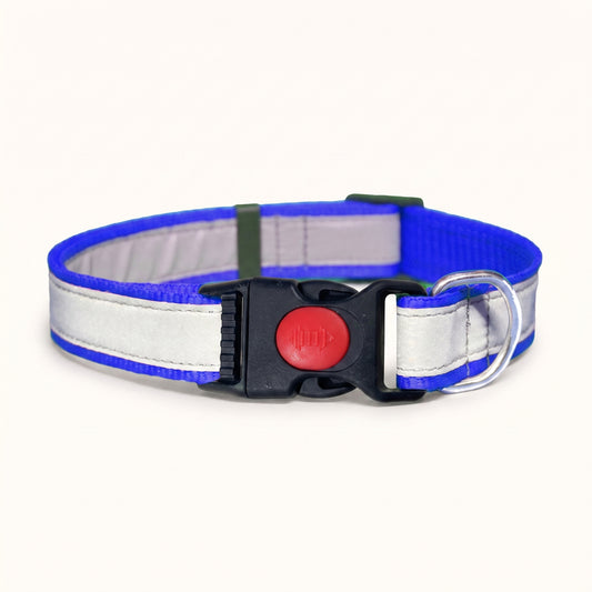 Adjustable Printed Nylon Dog Collar