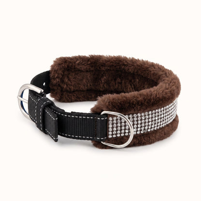 Adjustable Soft-Lined Dog Collar