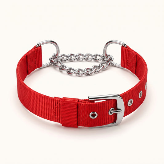 Adjustable Half-Check Dog Collar with Chain