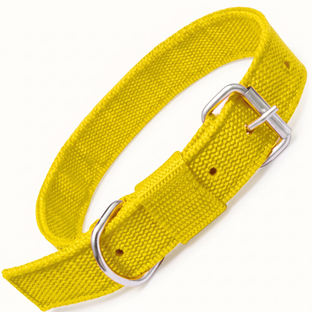Adjustable Nylon Dog Collar
