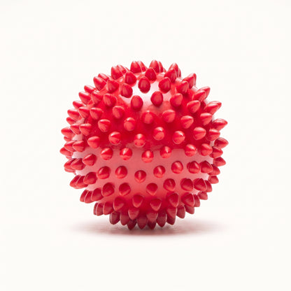 Rubber Spiked Ball Toy for Dogs