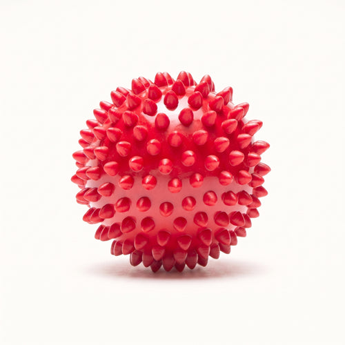 Rubber Spiked Ball Toy for Dogs