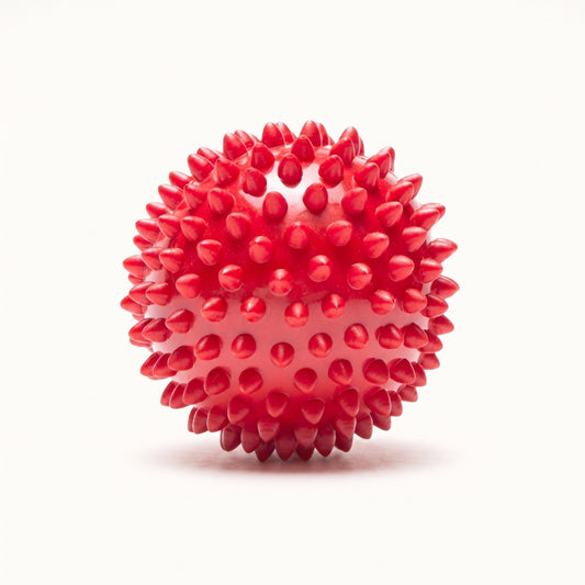 Rubber Spiked Ball Toy for Dogs