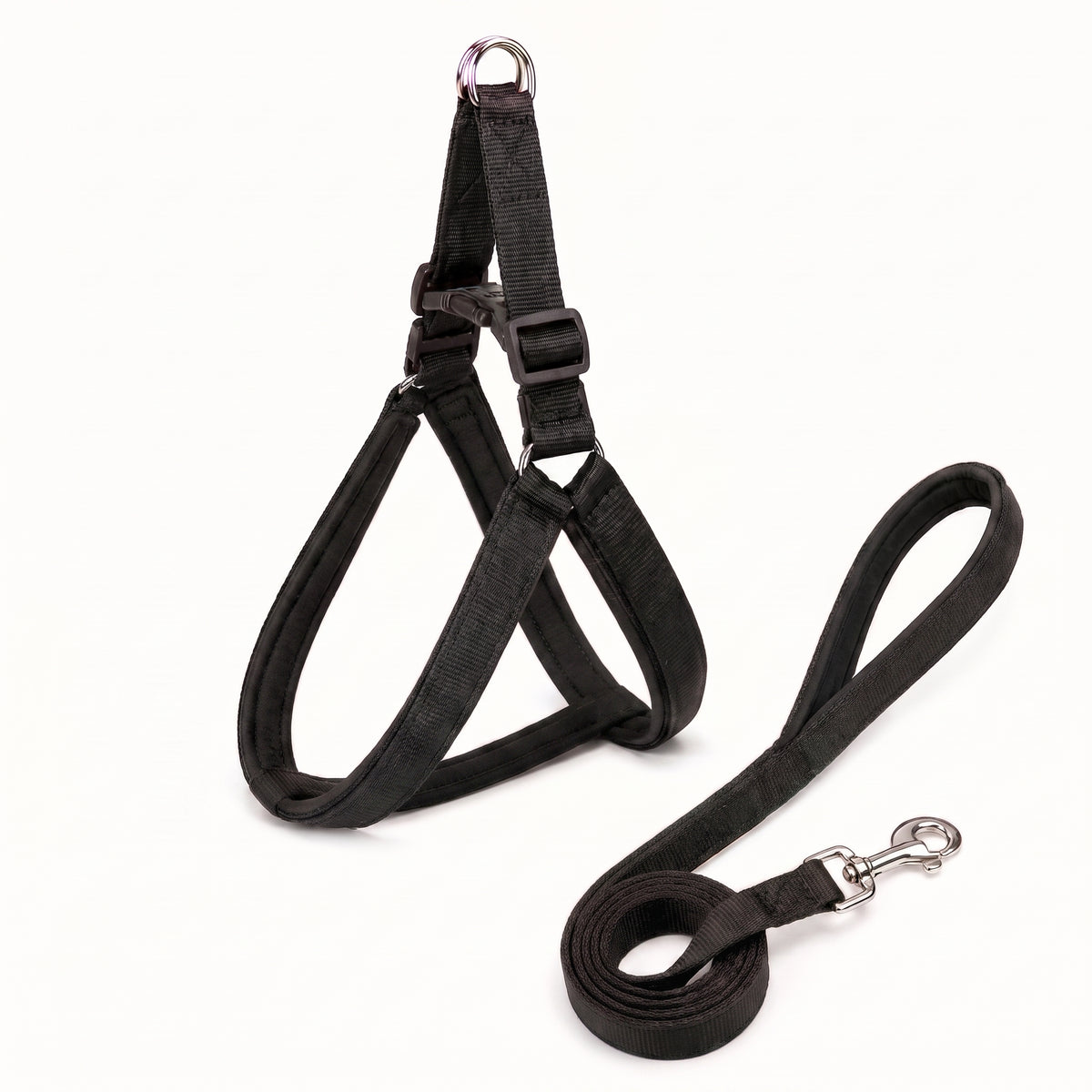Soft Padded Dog Harness & Leash Set