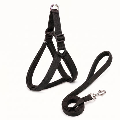 Soft Padded Dog Harness & Leash Set