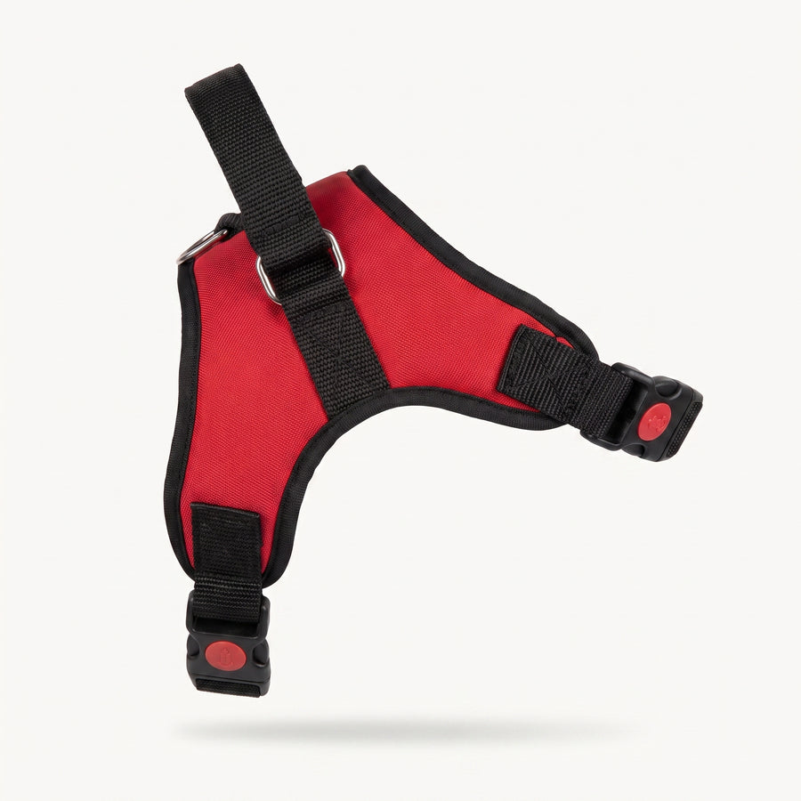 Double-Padded Adjustable Dog Harness with Handle