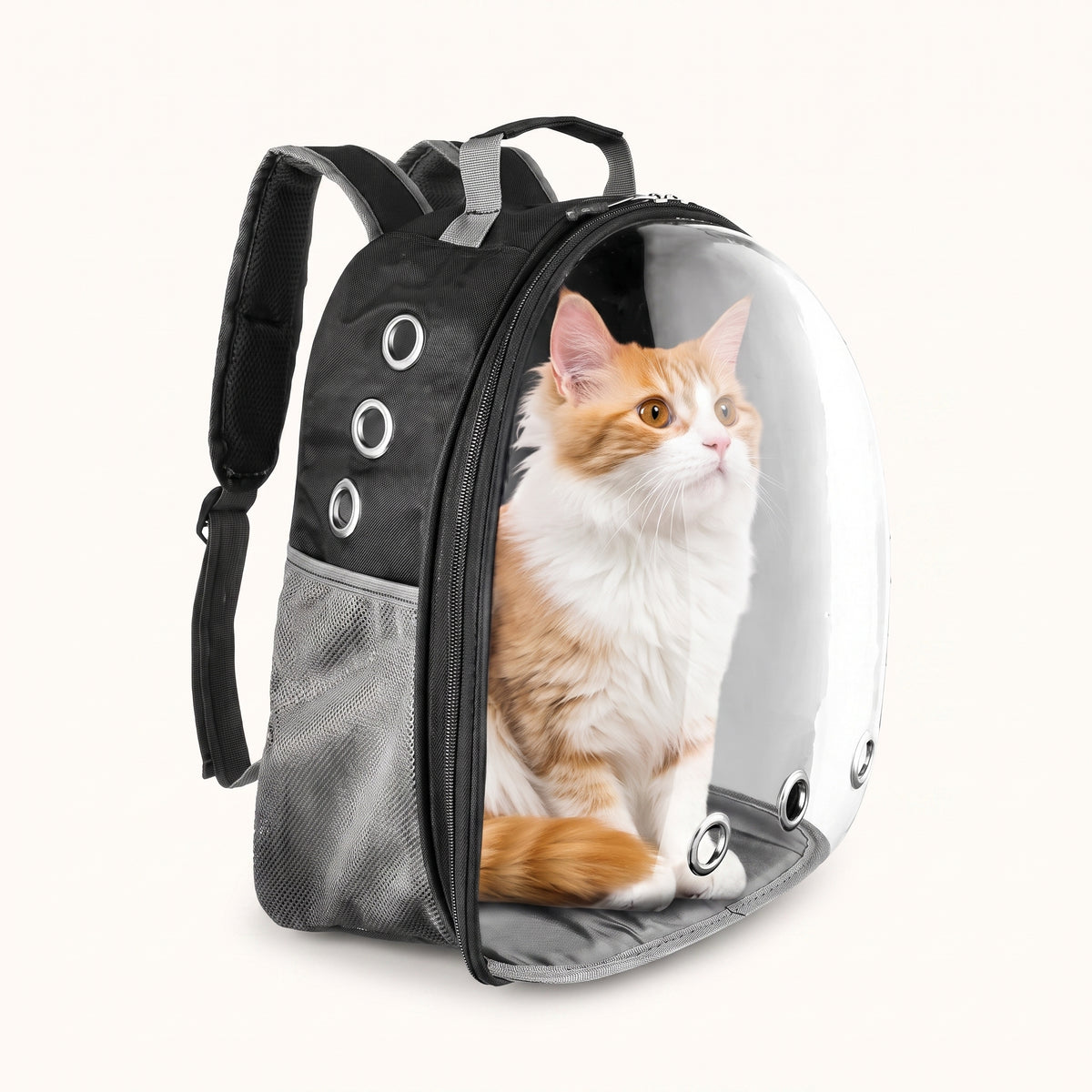 Transparent Ventilated Pet Carrier Bag