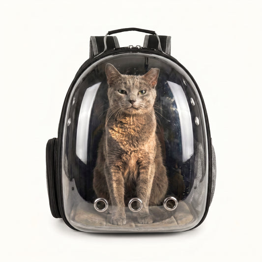 Transparent Ventilated Pet Carrier Bag