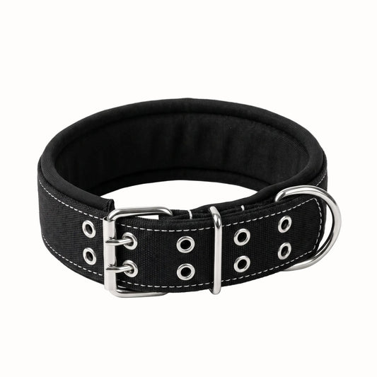 Tactical Dog Collar Belt for Medium Dogs | Adjustable Size