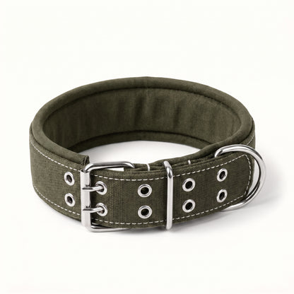 Tactical Dog Collar Belt for Medium Dogs | Adjustable Size