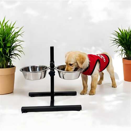 Dog Food Bowl Stand, Adjustable, U-Base Double Bowl Stand, Stainless Steel, Removable Bowls