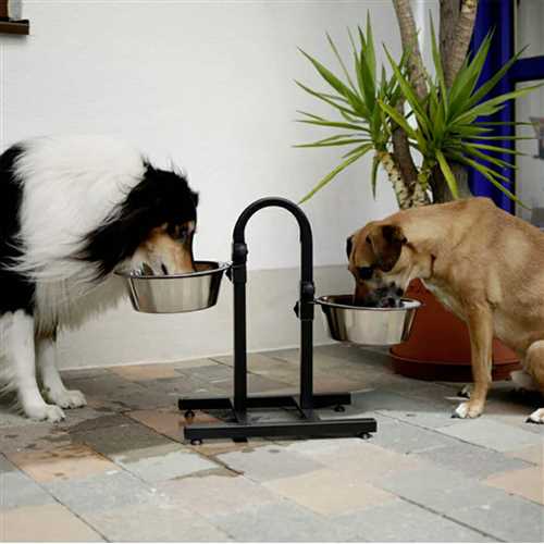 Dog Food Bowl Stand, Adjustable, U-Base Double Bowl Stand, Stainless Steel, Removable Bowls